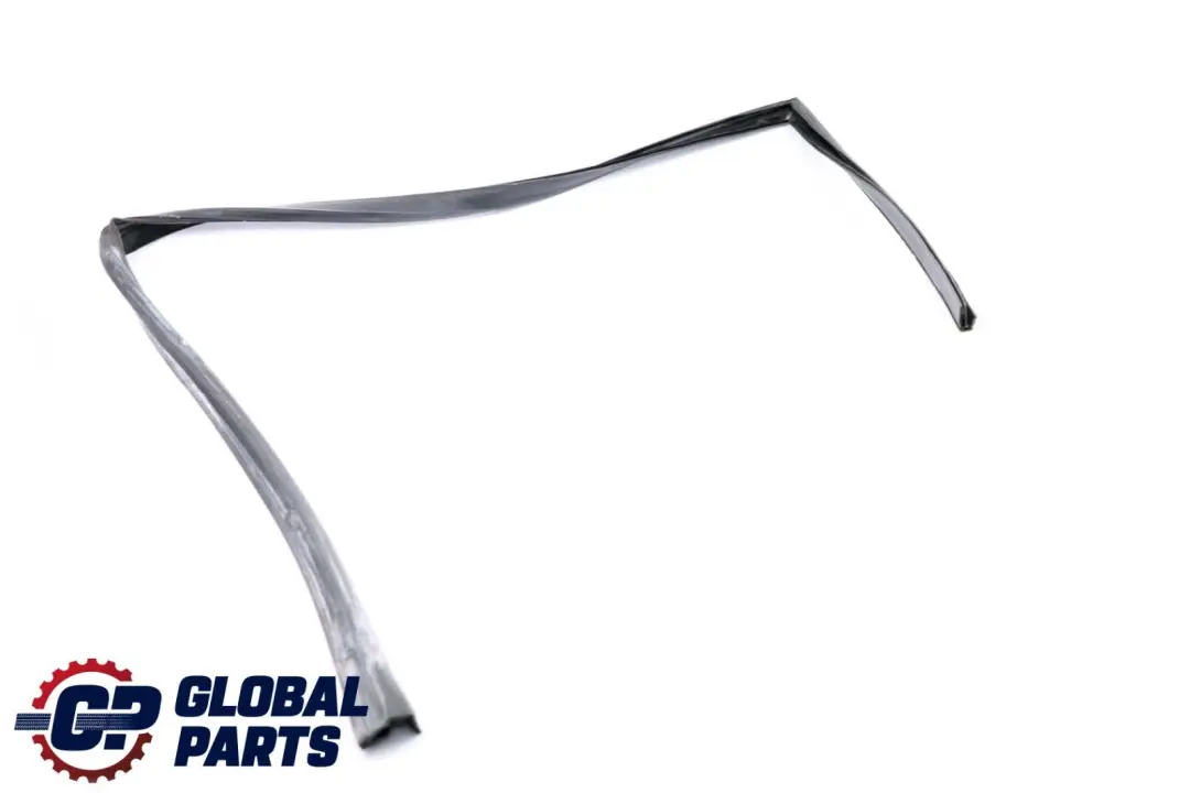 BMW X6 Series E71 Window Guide Seal Left Front Door N/S - SKU 7310315 - Part number 7310315