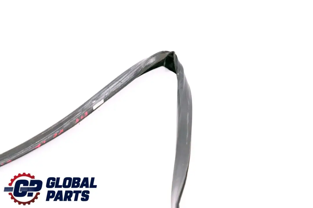 BMW X6 Series E71 Window Guide Seal Left Front Door N/S - SKU 7310315 - Part number 7310315