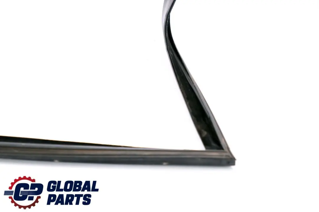 BMW X6 Series E71 Window Guide Seal Left Front Door N/S - SKU 7310315 - Part number 7310315