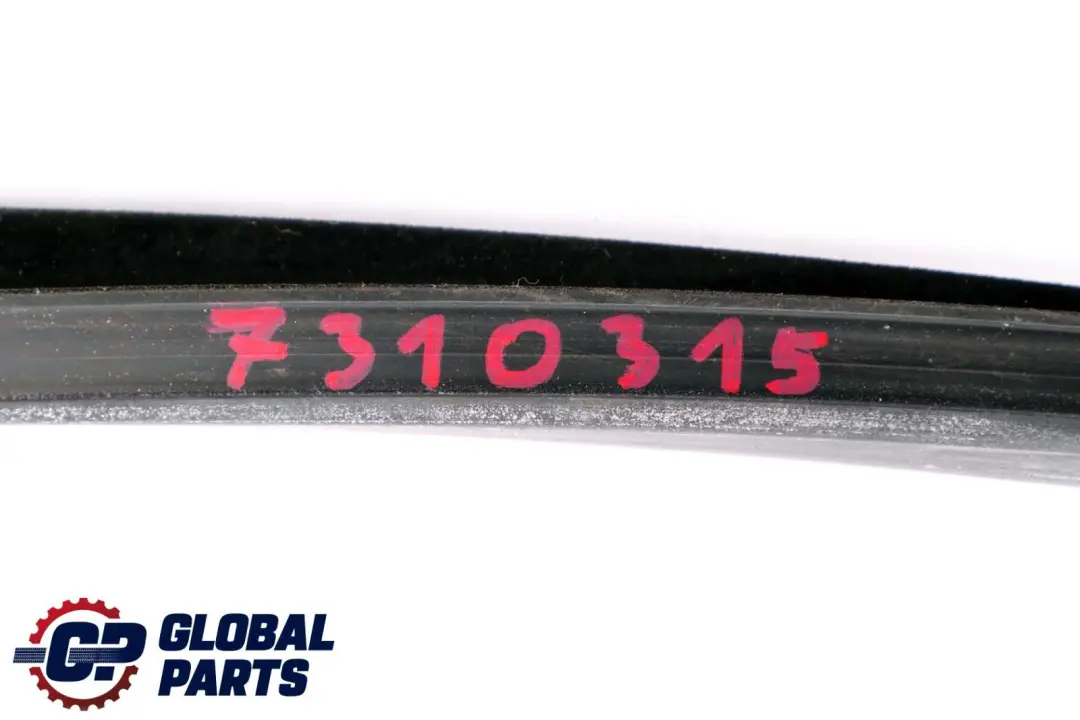 Junta Guía Ventana Puerta Delantera Izquierda para BMW X6 E71 con número de pieza 7310315 BMW X6 E71 Junta Guía Ventana Puerta Delantera Izquierda - SKU 7310315 - Número de pieza 7310315