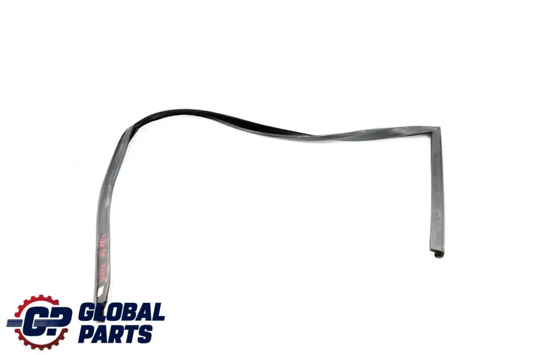 BMW X6 Series E71 Window Guide Seal Right Front Door O/S - SKU 7310316 - Part number 7310316