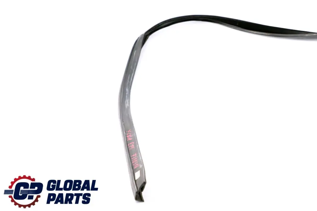 BMW X6 E71 Junta de Guía de Ventana Puerta Delantera Derecha - SKU 7310316 - Número de pieza 7310316