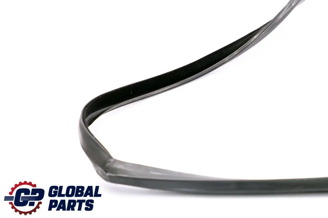 BMW X6 Series E71 Window Guide Seal Right Front Door O/S - SKU 7310316 - Part number 7310316