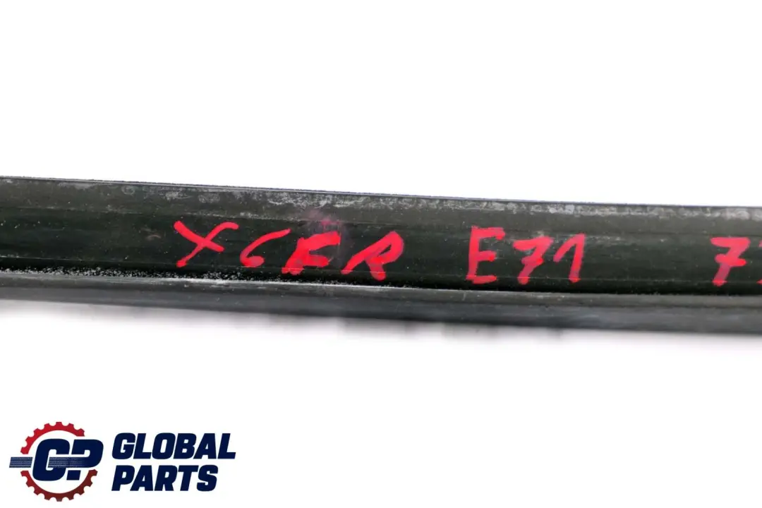 BMW X6 Series E71 Window Guide Seal Right Front Door O/S - SKU 7310316 - Part number 7310316