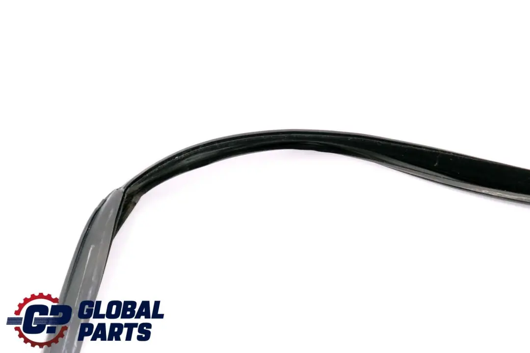 BMW X6 Series E71 Window Guide Seal Right Front Door O/S - SKU 7310316 - Part number 7310316