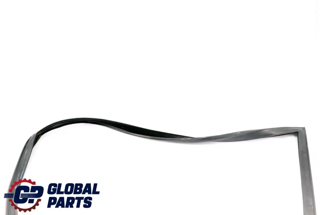 BMW X6 Series E71 Window Guide Seal Right Front Door O/S - SKU 7310316 - Part number 7310316