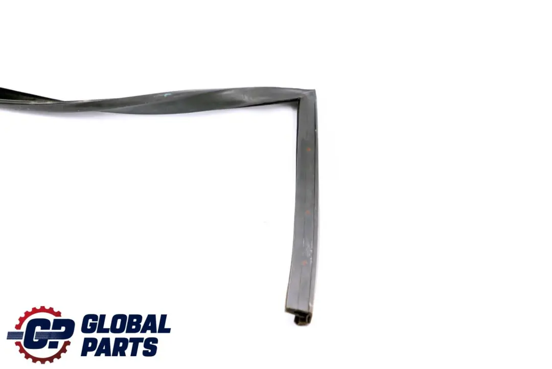 BMW X6 Series E71 Window Guide Seal Right Front Door O/S - SKU 7310316 - Part number 7310316