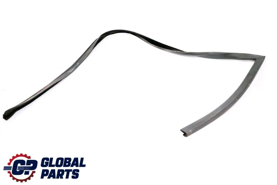 BMW X6 Series E71 Window Guide Seal Right Front Door O/S - SKU 7310316 - Part number 7310316