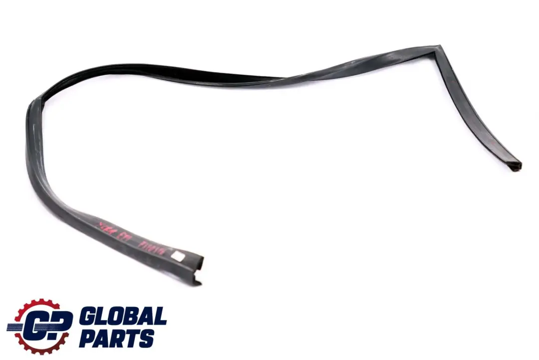 BMW X6 Series E71 Window Guide Seal Right Front Door O/S - SKU 7310316 - Part number 7310316