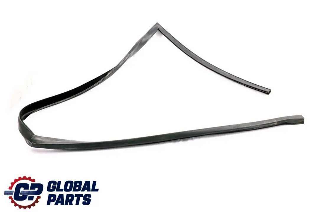 BMW X6 Series E71 Window Guide Seal Right Front Door O/S - SKU 7310316 - Part number 7310316