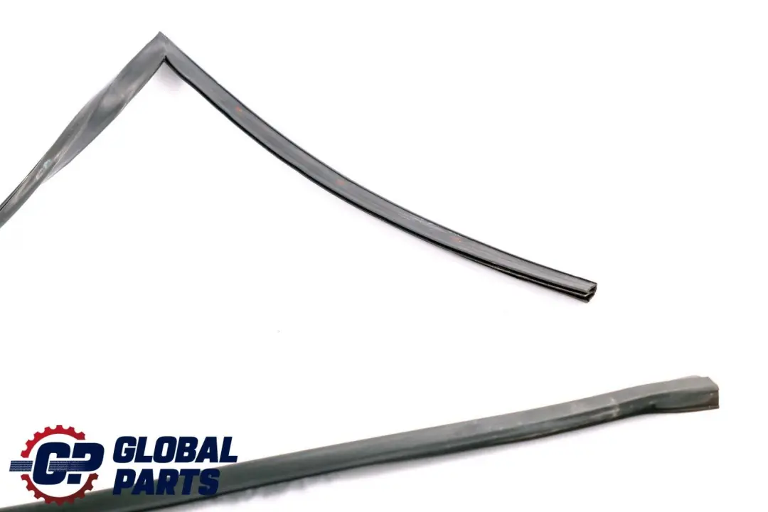 BMW X6 Series E71 Window Guide Seal Right Front Door O/S - SKU 7310316 - Part number 7310316