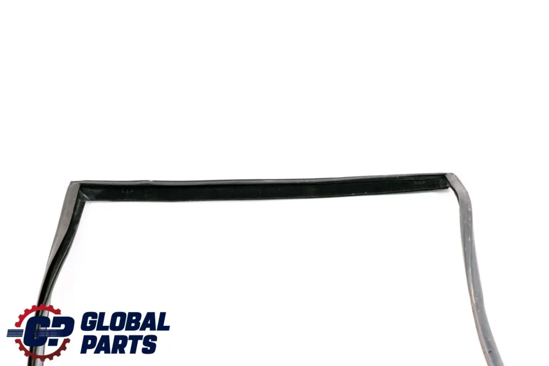 BMW X6 E71 Guida Finestrino Posteriore Sinistro Gomma - SKU 7310317 - Numero di parte 7310317