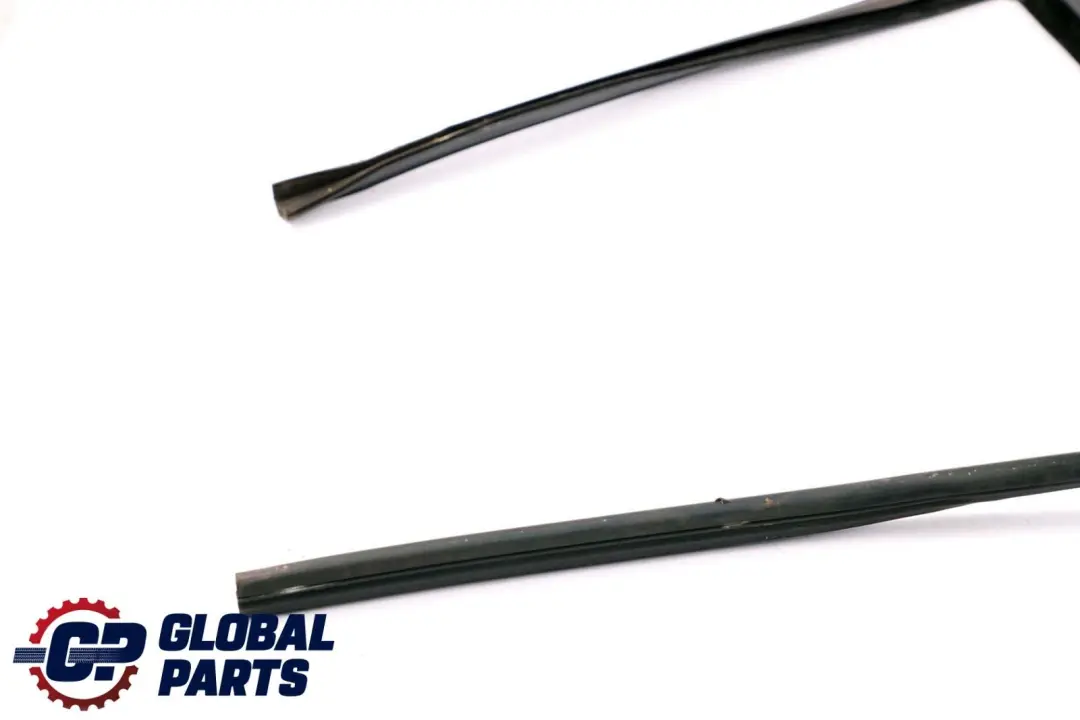 BMW X6 E71 Guida Finestrino Posteriore Sinistro Gomma - SKU 7310317 - Numero di parte 7310317
