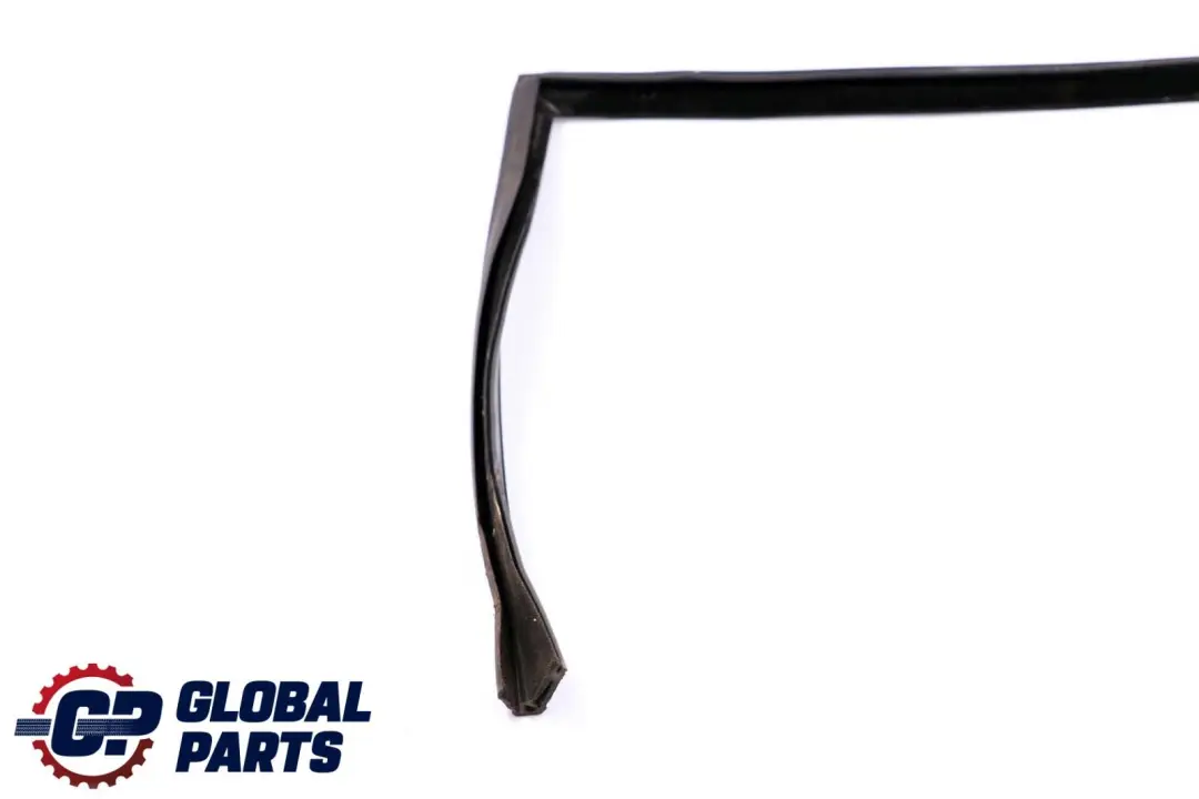 Fensterführung Hinten Links für BMW X6 Series E71 mit Teilenummer 7310317 BMW X6 Series E71 Fensterführung Hinten Links - SKU 7310317 - Teilenummer 7310317