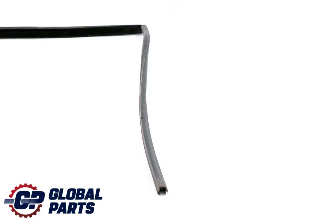 BMW X6 Series E71 Fensterführung Hinten Links - SKU 7310317 - Teilenummer 7310317