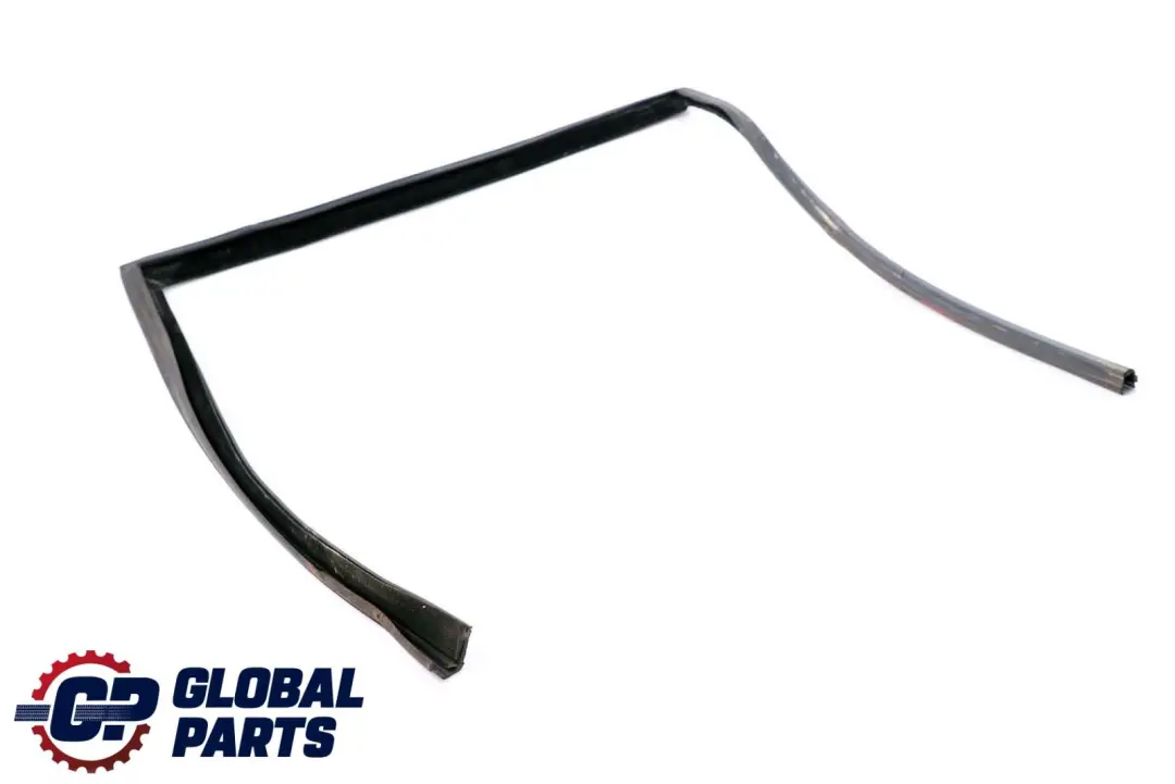 BMW X6 E71 Trasera Izquierda Ventana Guía Puerta Caucho - SKU 7310317 - Número de pieza 7310317