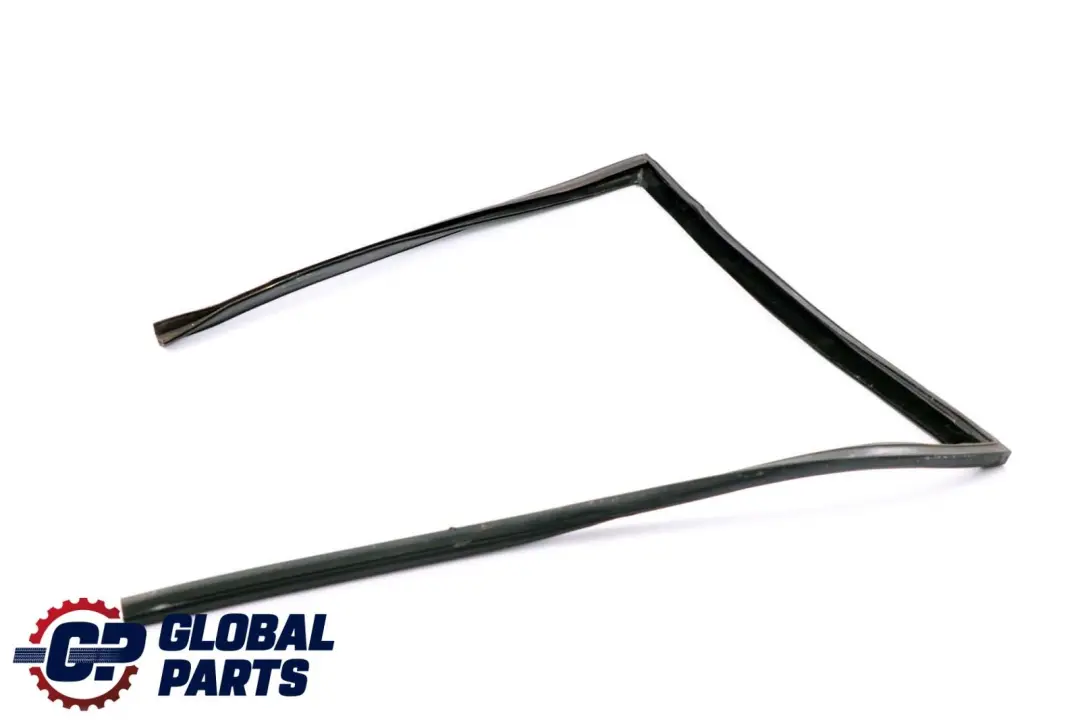 Guida Finestrino Posteriore Sinistro Gomma per BMW X6 E71 con numero di parte 7310317 BMW X6 E71 Guida Finestrino Posteriore Sinistro Gomma - SKU 7310317 - Numero di parte 7310317