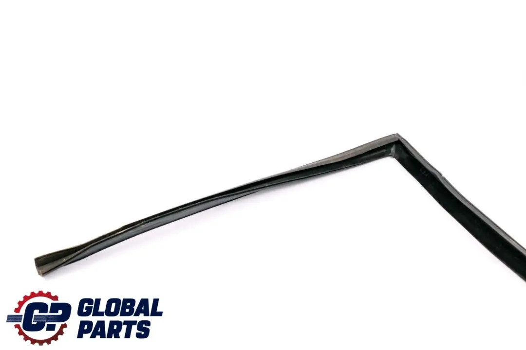 Fensterführung Hinten Links für BMW X6 Series E71 mit Teilenummer 7310317 BMW X6 Series E71 Fensterführung Hinten Links - SKU 7310317 - Teilenummer 7310317