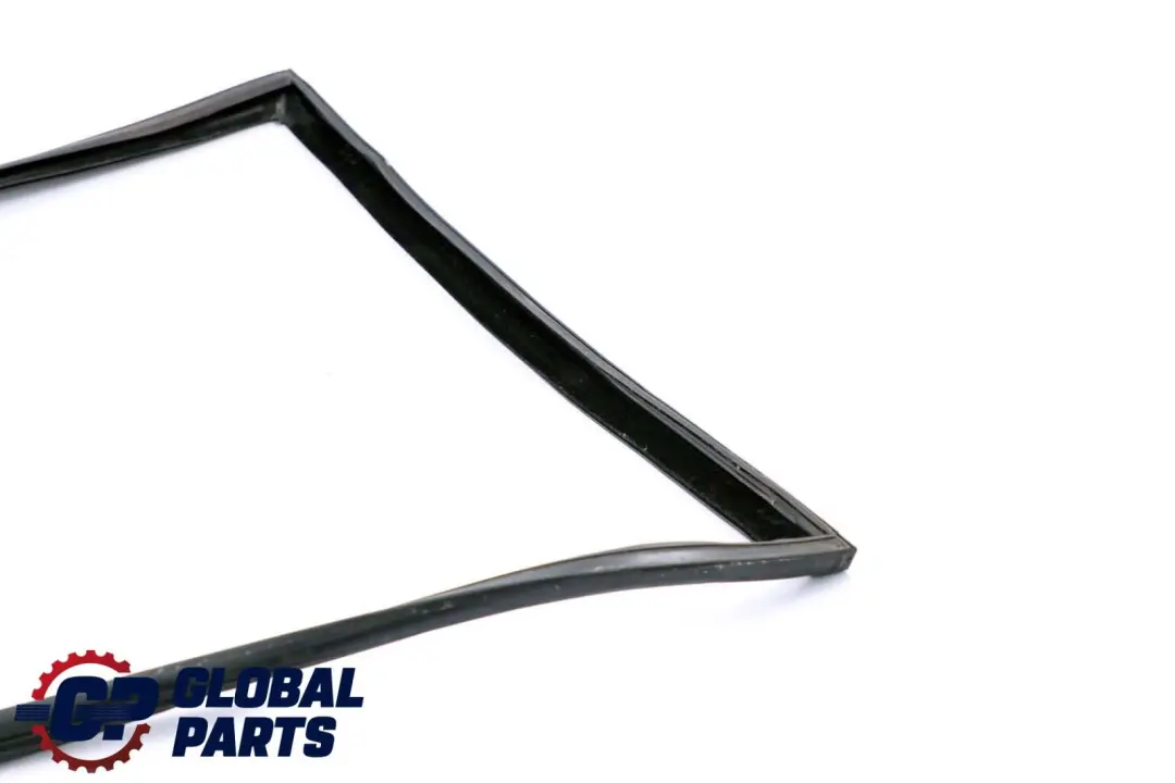 Trasera Izquierda Ventana Guía Puerta Caucho para BMW X6 E71 con número de pieza 7310317 BMW X6 E71 Trasera Izquierda Ventana Guía Puerta Caucho - SKU 7310317 - Número de pieza 7310317
