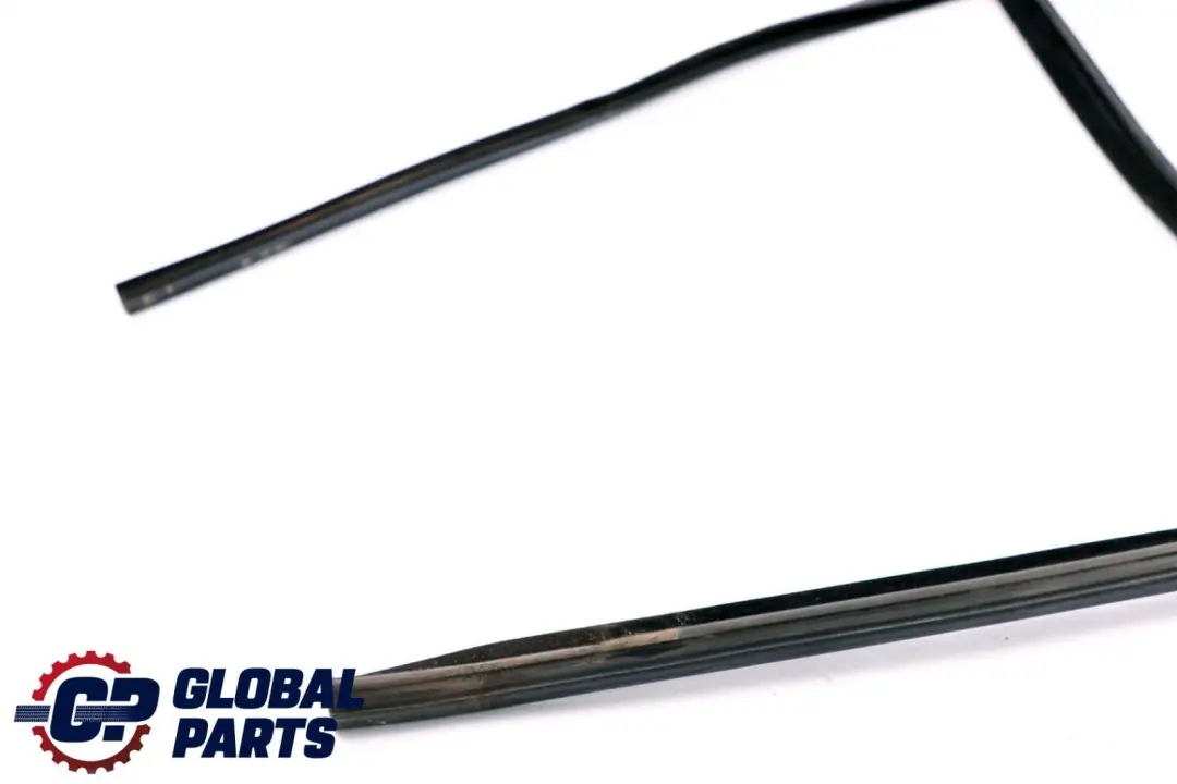 BMW X6 E71 Door Window Guide Seal Gasket Rear Right O/S - SKU 7310318 - Part number 7310318