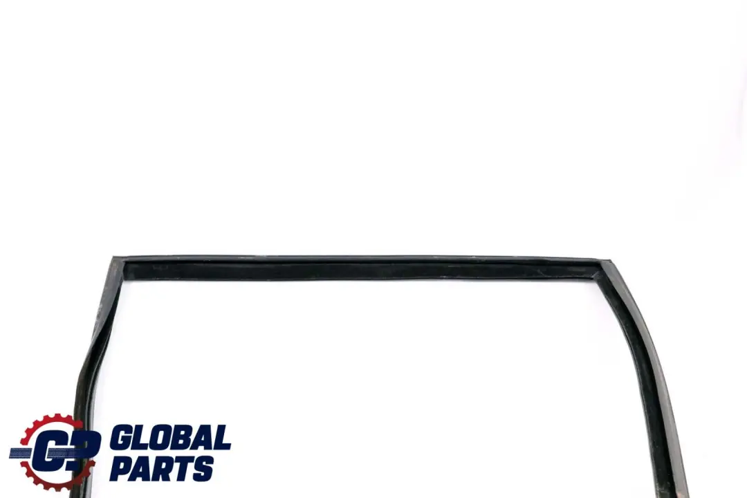 BMW X6 E71 Porta Finestra Guida Guarnizione Posteriore Destra - SKU 7310318 - Numero di parte 7310318