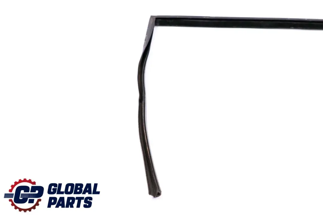 BMW X6 E71 Porta Finestra Guida Guarnizione Posteriore Destra - SKU 7310318 - Numero di parte 7310318