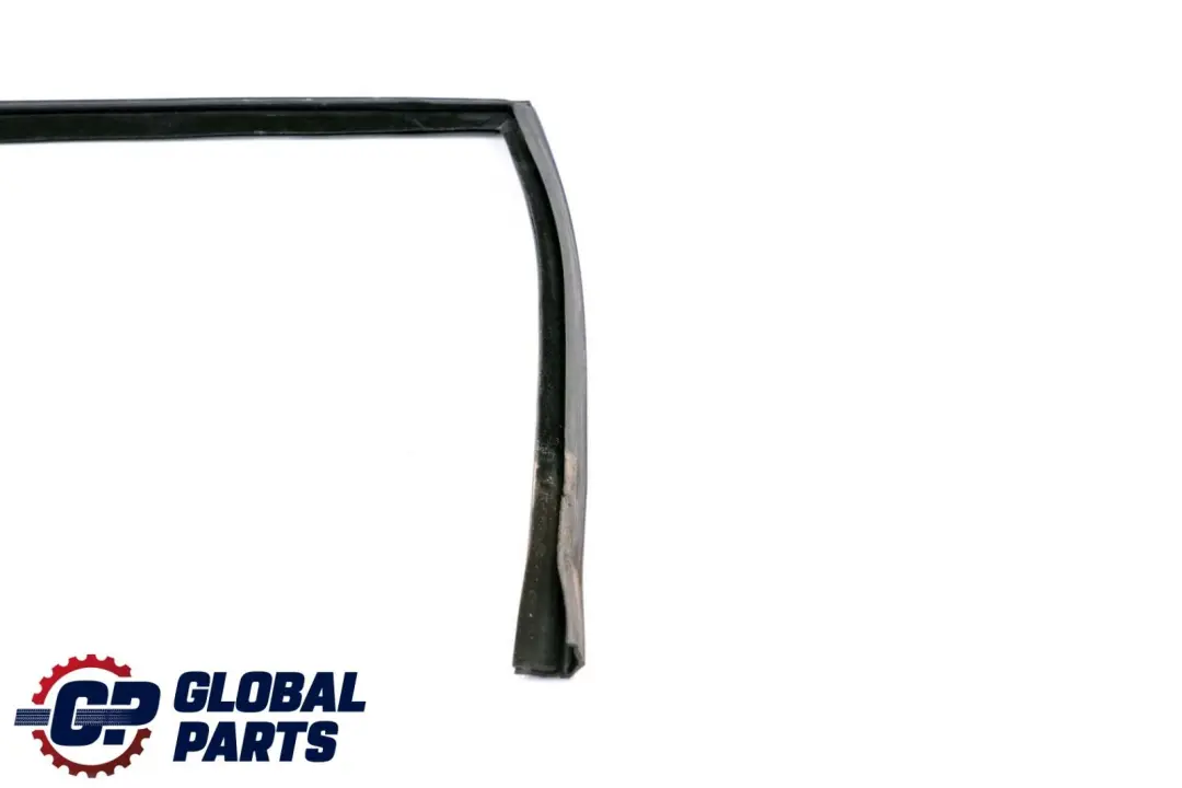 BMW X6 E71 Porta Finestra Guida Guarnizione Posteriore Destra - SKU 7310318 - Numero di parte 7310318