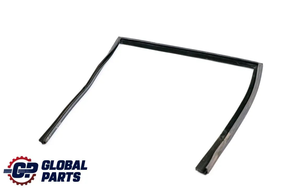 BMW X6 E71 Porta Finestra Guida Guarnizione Posteriore Destra - SKU 7310318 - Numero di parte 7310318