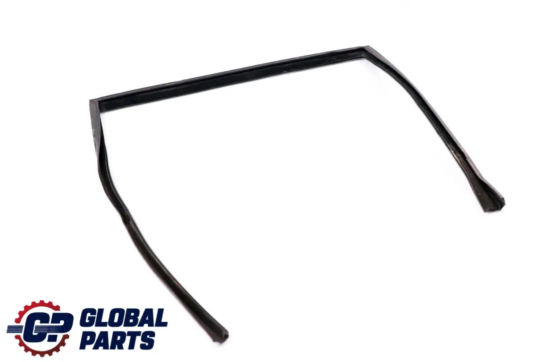 BMW X6 E71 Porta Finestra Guida Guarnizione Posteriore Destra - SKU 7310318 - Numero di parte 7310318