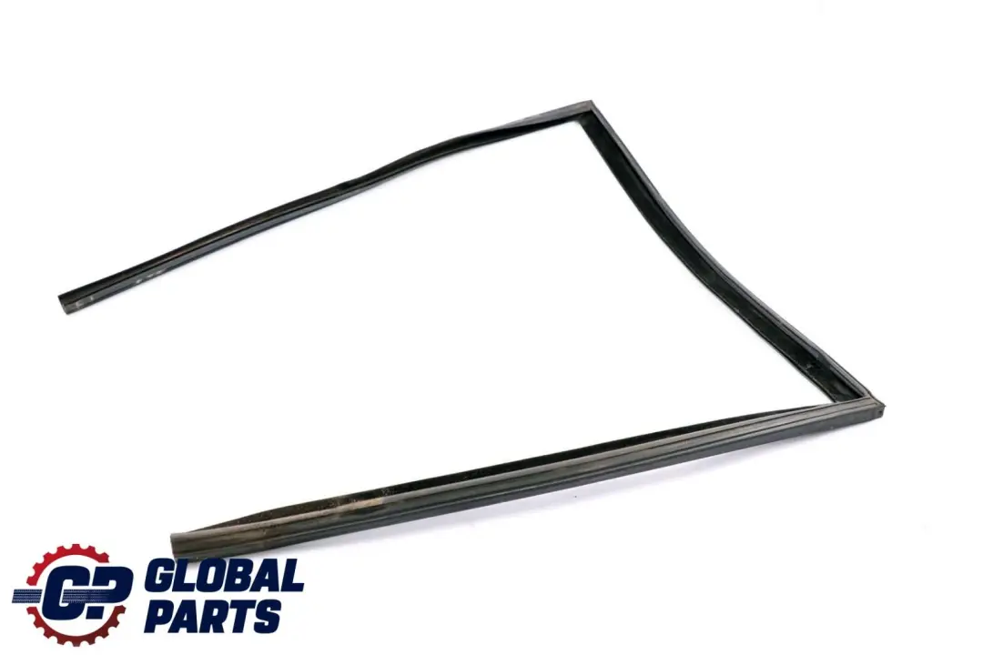 BMW X6 E71 Tür Fenster Führung Dichtung Dichtung Hinten Rechts - SKU 7310318 - Teilenummer 7310318