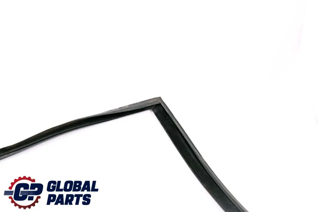 BMW X6 E71 Porta Finestra Guida Guarnizione Posteriore Destra - SKU 7310318 - Numero di parte 7310318