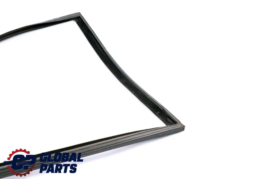 BMW X6 E71 Porta Finestra Guida Guarnizione Posteriore Destra - SKU 7310318 - Numero di parte 7310318