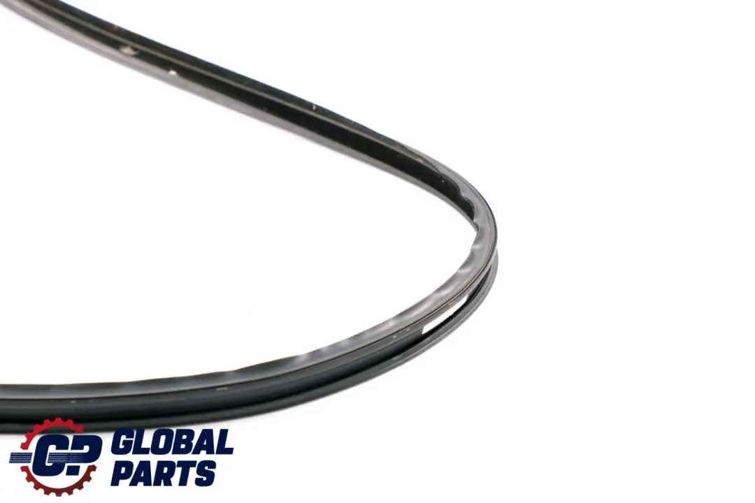 BMW X6 E71 Joint de Porte Haut Avant Gauche Joint d'Etanchéité - SKU 7310319 - Numéro de pièce 7310319