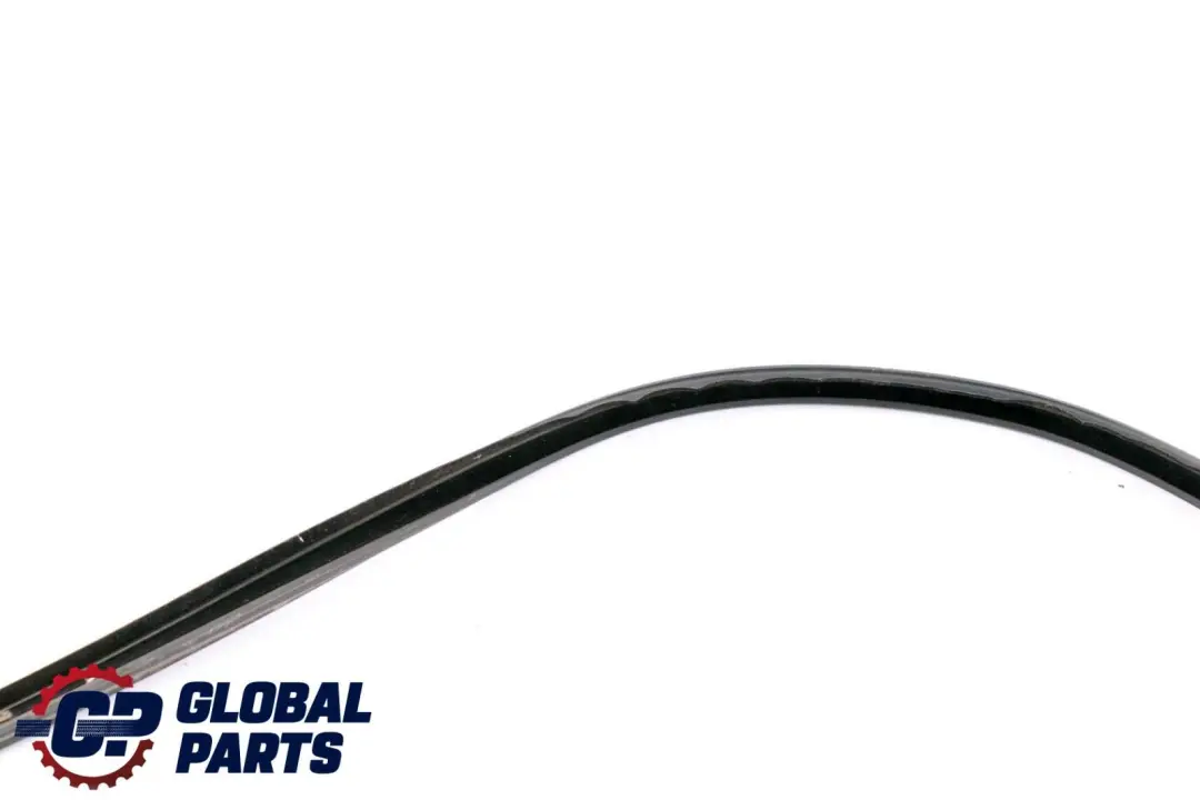 BMW X6 E71 Junta Junta Puerta Superior Izquierda Sellado - SKU 7310319 - Número de pieza 7310319