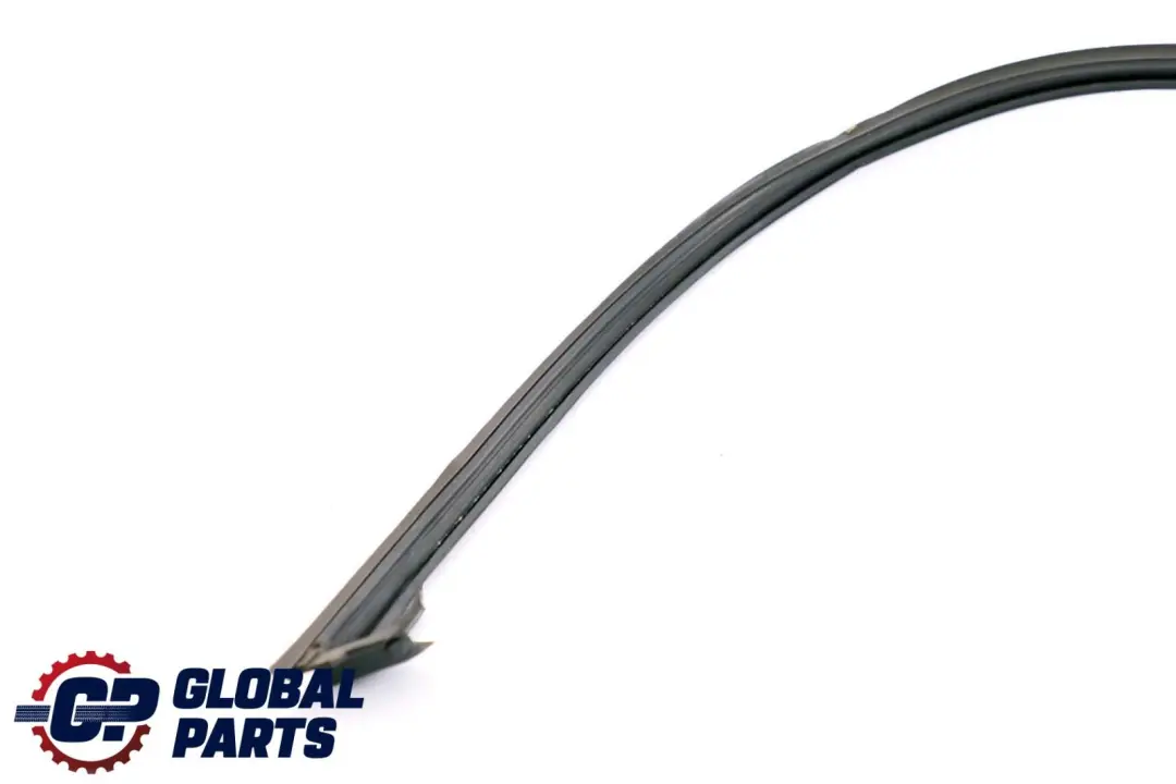 Guarnizione Giunto Porta Anteriore Destra Sigillatura per BMW X6 Serie E71 con numero di parte 7310320 BMW X6 Serie E71 Guarnizione Giunto Porta Anteriore Destra Sigillatura - SKU 7310320 - Numero di parte 7310320