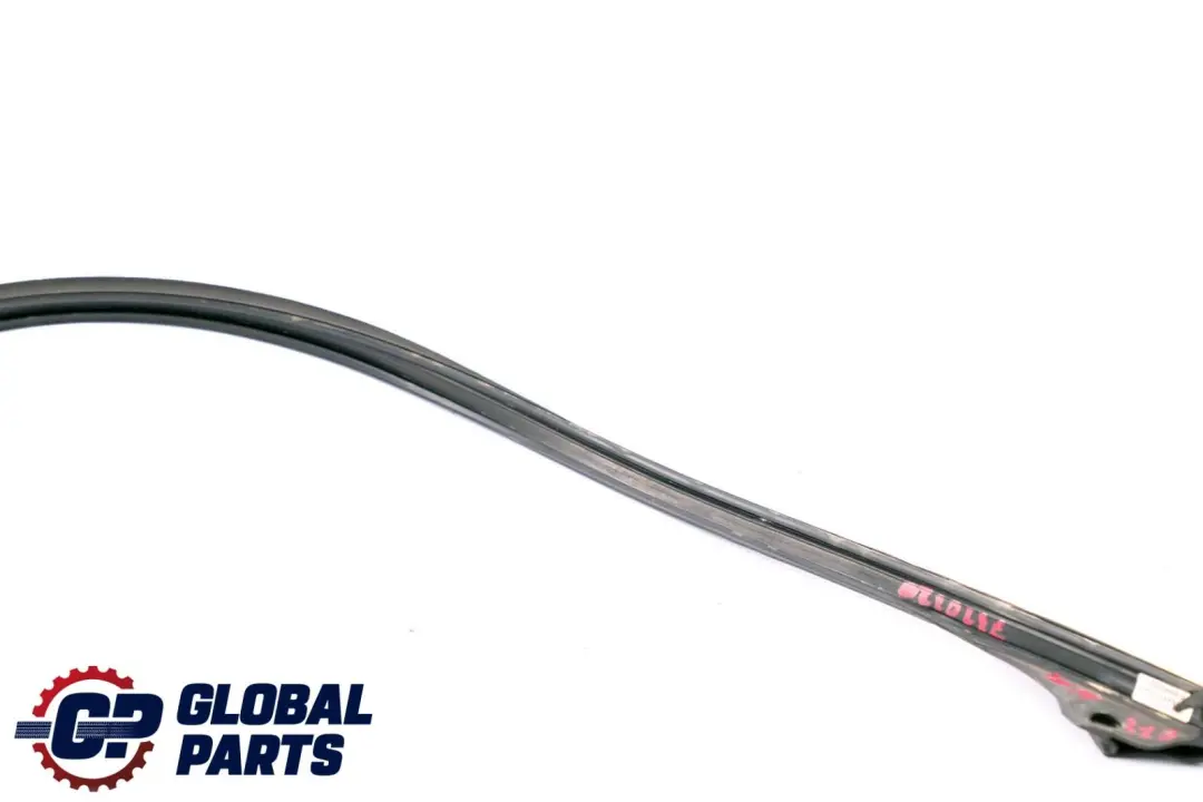 BMW Serie X6 E71 Junta Puerta Superior Delantera Derecha Sello - SKU 7310320 - Número de pieza 7310320