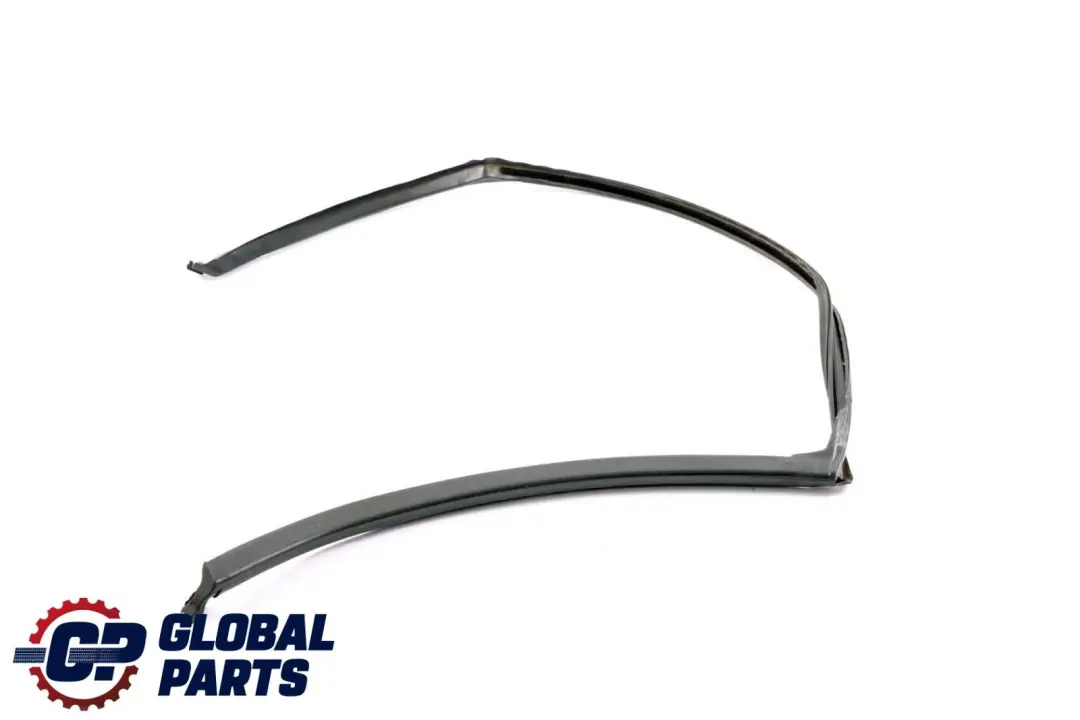 BMW X6 E71 Junta Guía Ventana Puerta Trasera Izquierda - SKU 7310321 - Número de pieza 7310321