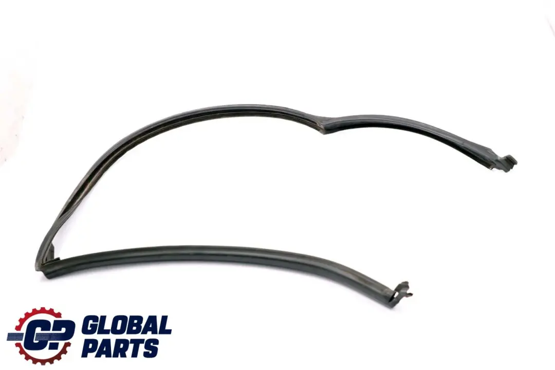BMW X6 E71 Junta Guía Ventana Puerta Trasera Izquierda - SKU 7310321 - Número de pieza 7310321