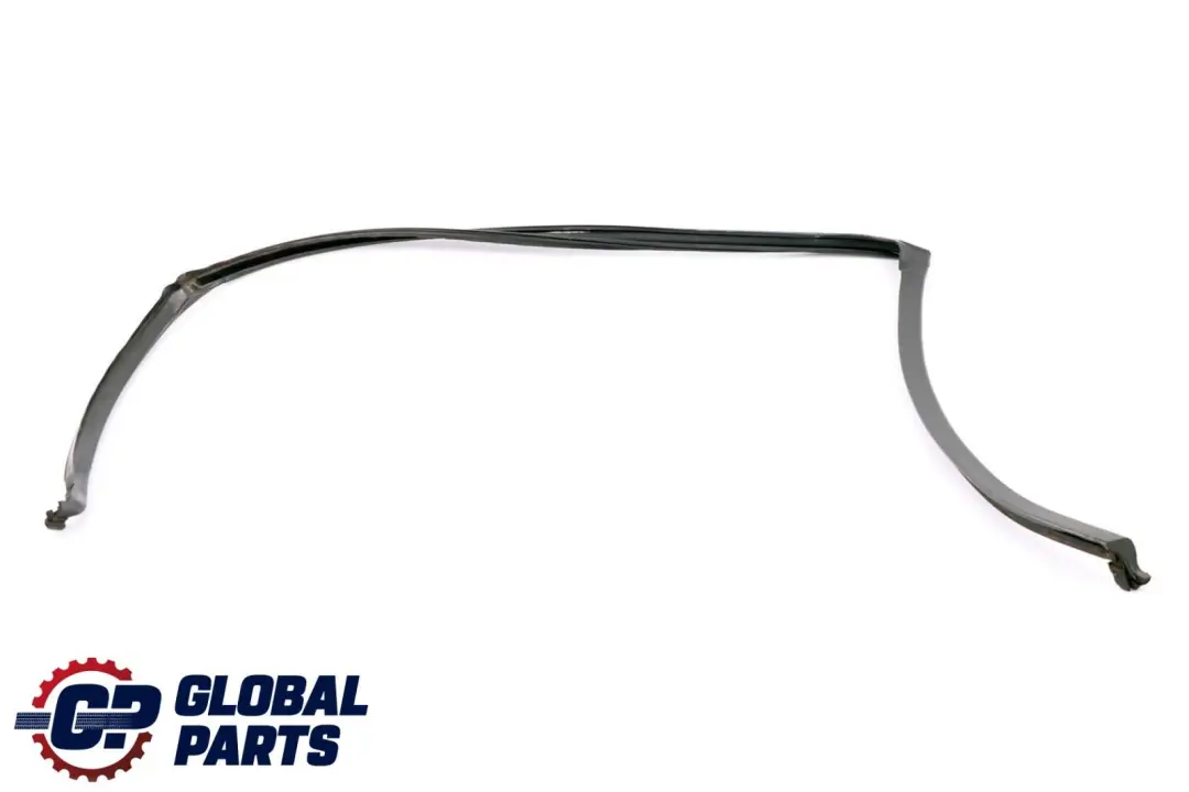 BMW X6 E71 Guarnizione Guida Finestrino Porta Posteriore Sinistra - SKU 7310321 - Numero di parte 7310321