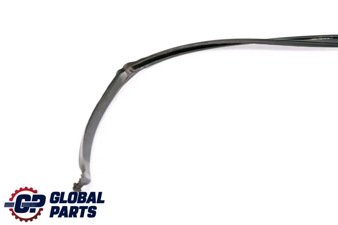 BMW X6 E71 Guarnizione Guida Finestrino Porta Posteriore Sinistra - SKU 7310321 - Numero di parte 7310321