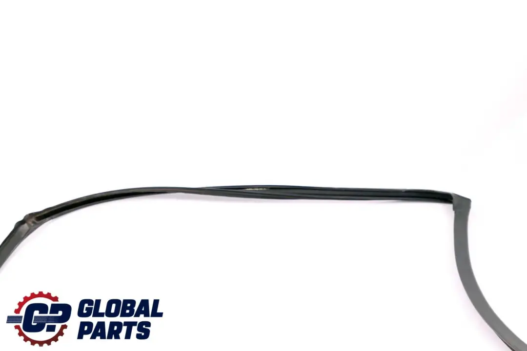 BMW X6 E71 Guarnizione Guida Finestrino Porta Posteriore Sinistra - SKU 7310321 - Numero di parte 7310321