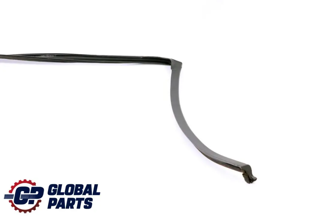 BMW X6 E71 Guarnizione Guida Finestrino Porta Posteriore Sinistra - SKU 7310321 - Numero di parte 7310321