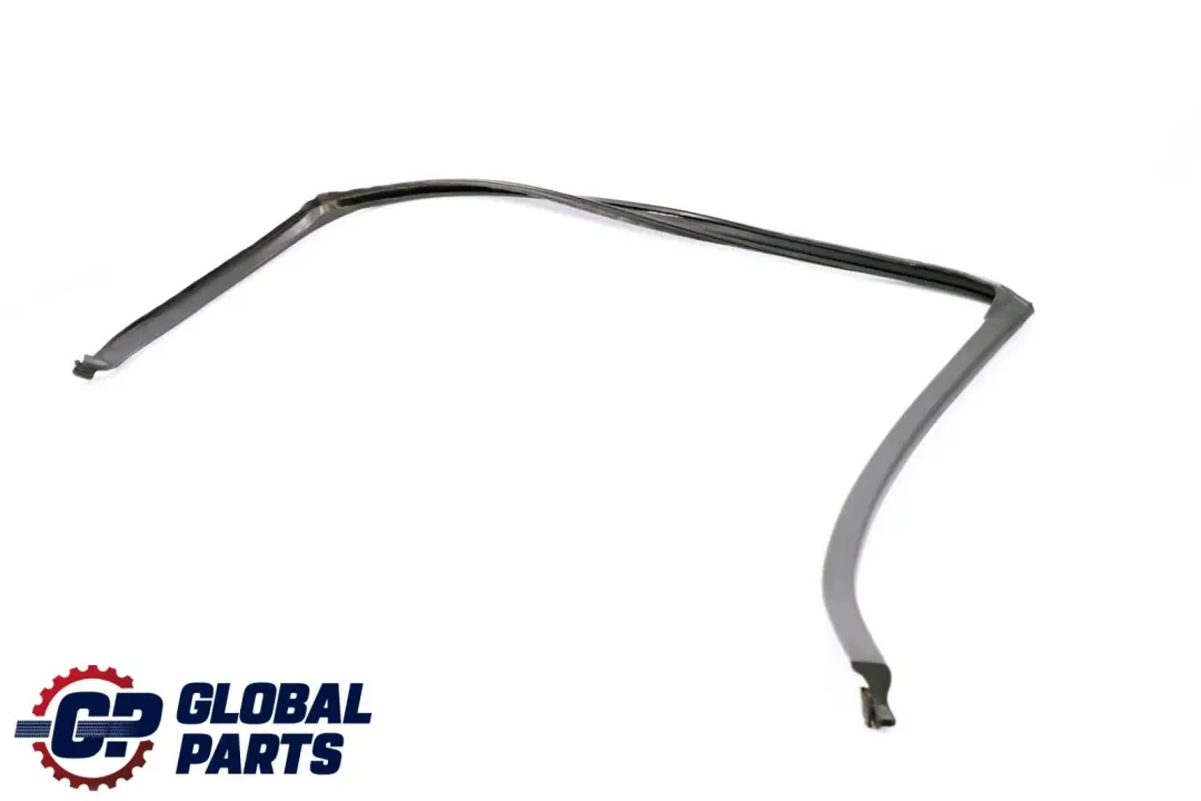 BMW X6 E71 Guarnizione Guida Finestrino Porta Posteriore Sinistra - SKU 7310321 - Numero di parte 7310321