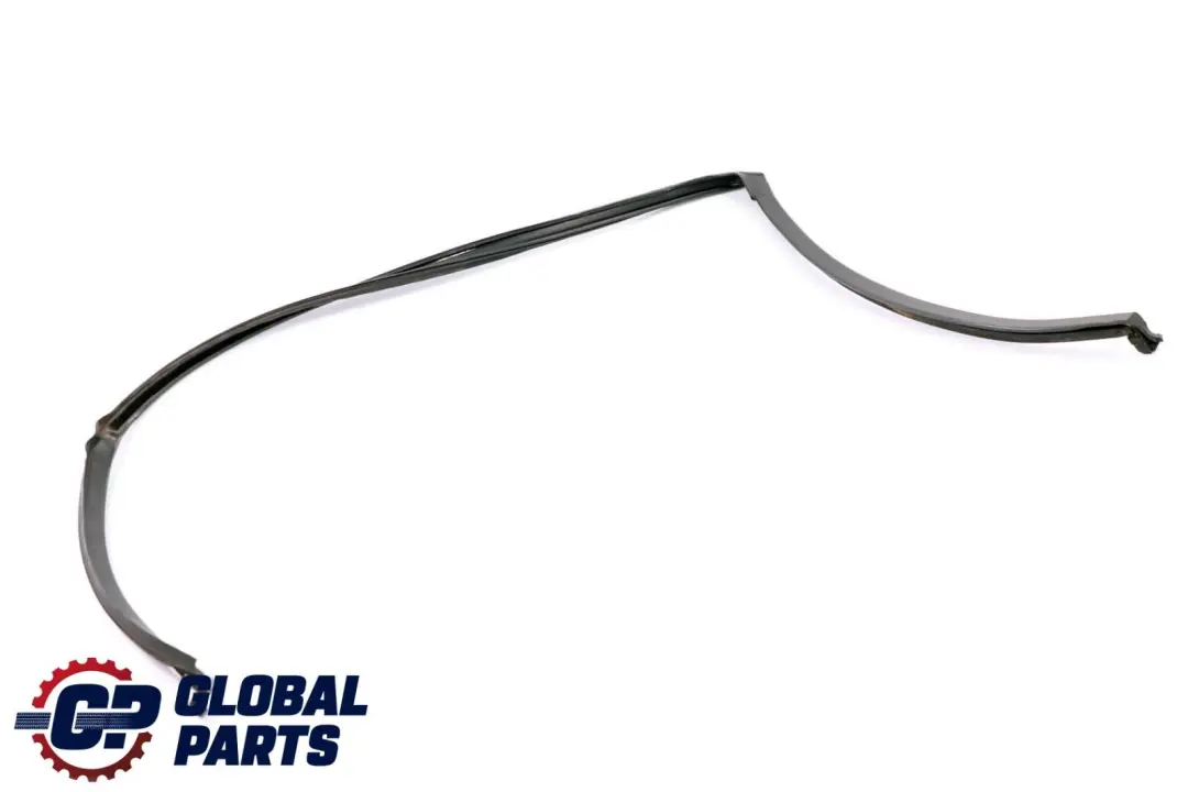 BMW X6 E71 Guarnizione Guida Finestrino Porta Posteriore Sinistra - SKU 7310321 - Numero di parte 7310321