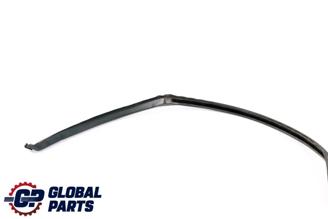 BMW X6 E71 Guarnizione Guida Finestrino Porta Posteriore Sinistra - SKU 7310321 - Numero di parte 7310321
