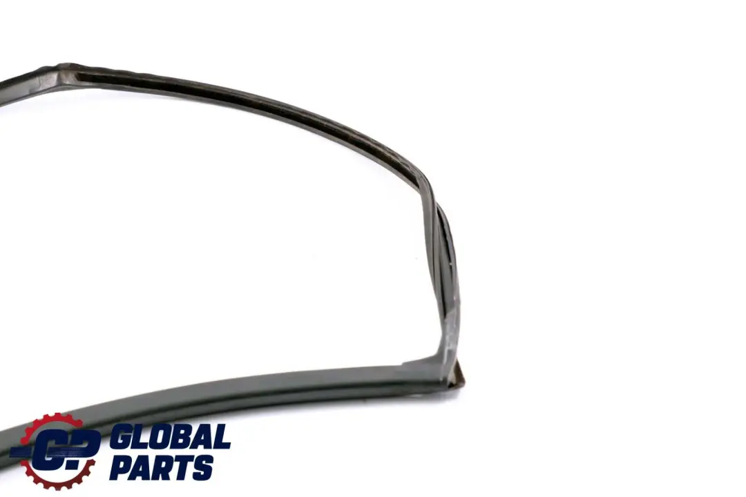 BMW X6 E71 Guarnizione Guida Finestrino Porta Posteriore Sinistra - SKU 7310321 - Numero di parte 7310321