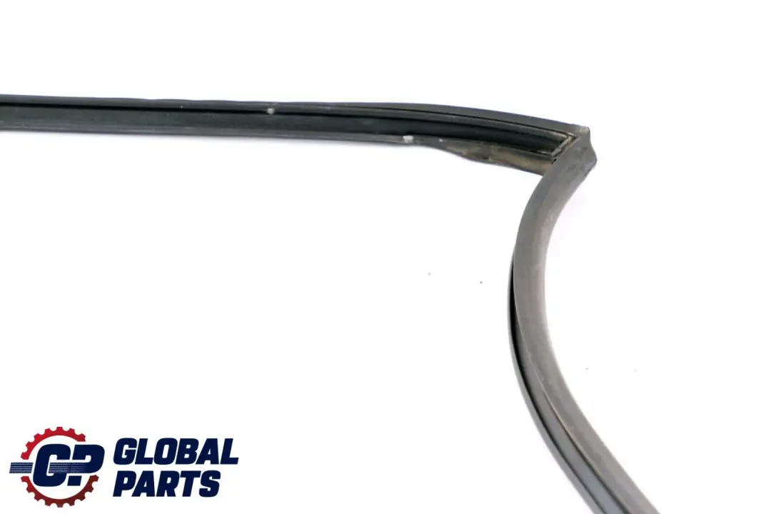 BMW X6 E71 Joint d'étanchéité de la porte arrière droite - SKU 7310322 - Numéro de pièce 7310322
