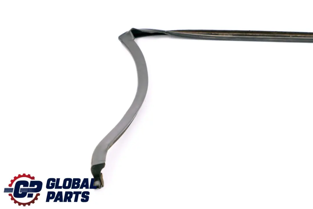 BMW X6 E71 Guarnizione Giunto Porta Tetto Porta Posteriore Destra - SKU 7310322 - Numero di parte 7310322