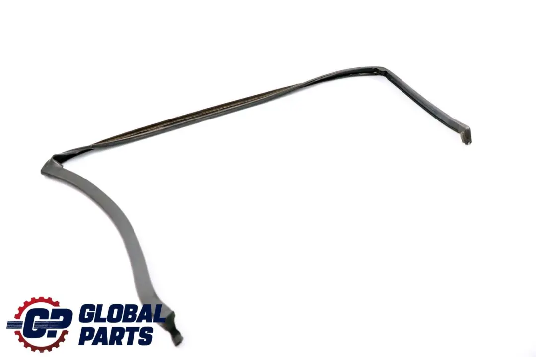BMW X6 E71 Joint d'étanchéité de la porte arrière droite - SKU 7310322 - Numéro de pièce 7310322