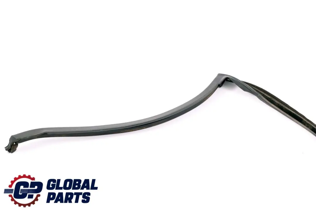 BMW X6 E71 Joint d'étanchéité de la porte arrière droite - SKU 7310322 - Numéro de pièce 7310322
